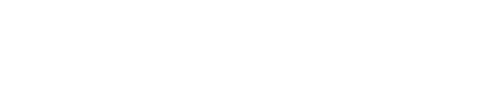 Your Budget Friend White logo LRes